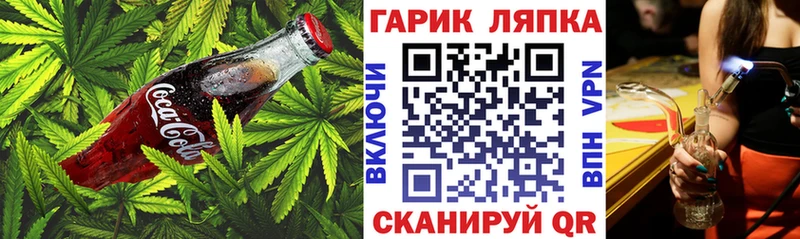Canna-Cookies марихуана  Купить где  Прокопьевск 