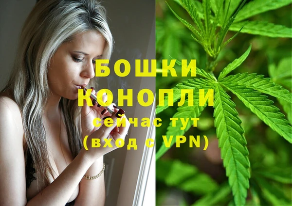 гидра Инсар