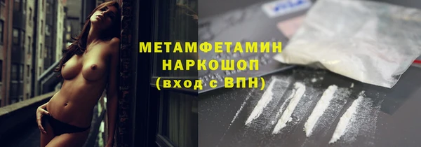 гидра Инсар