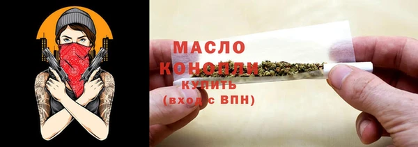 гидра Инсар
