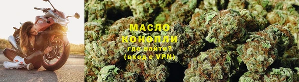 молекула духа Зеленодольск